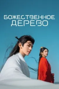Божественное дерево 1 сезон